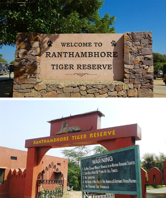 How To Reach Ranthambore
