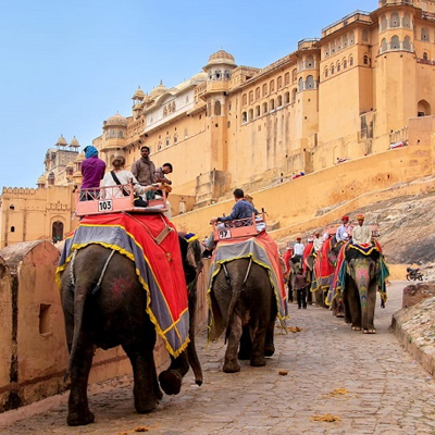 Delhi Agra Ranthambore Jaipur Tour