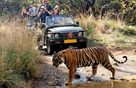 Jeep Safari in Ranthambore 